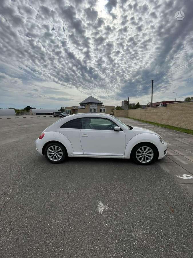 Volkswagen Beetle - 5