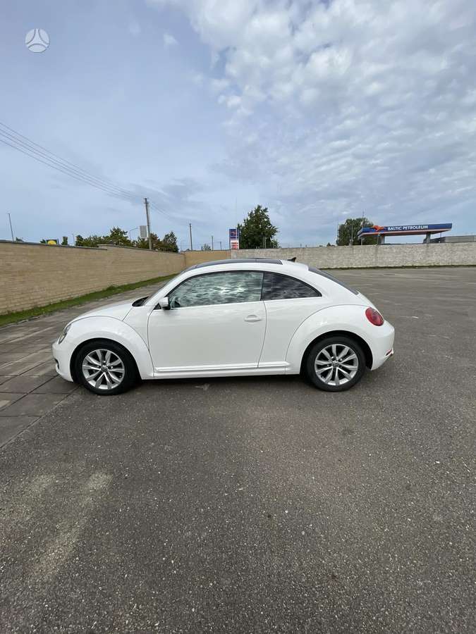 Volkswagen Beetle - 1