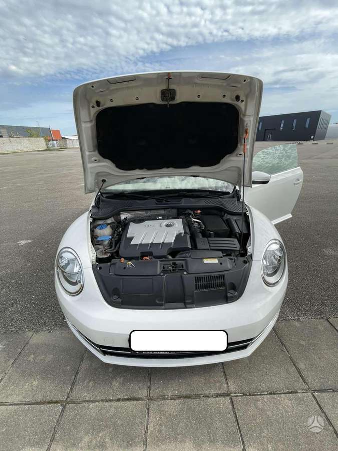 Volkswagen Beetle - 12