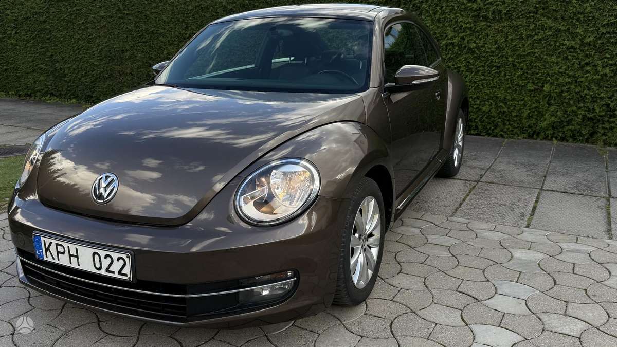 Volkswagen Beetle - 1