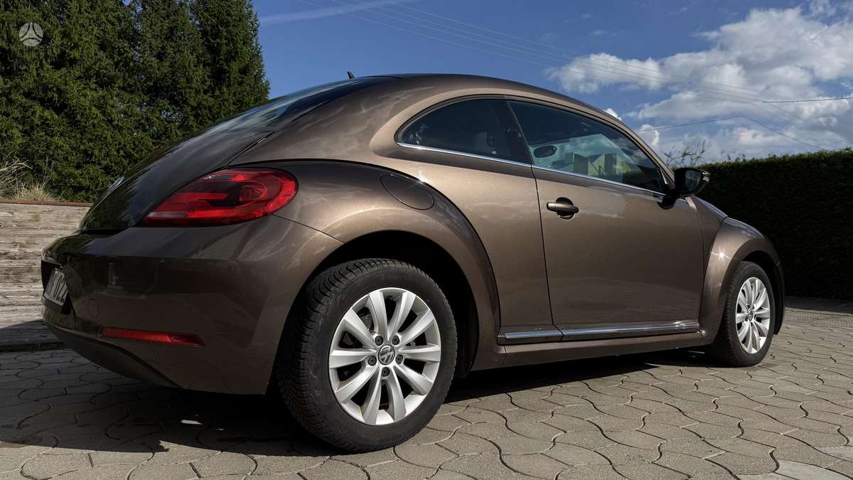 Volkswagen Beetle - 3