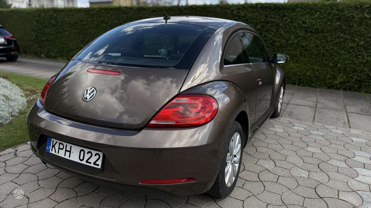 Volkswagen Beetle - 4