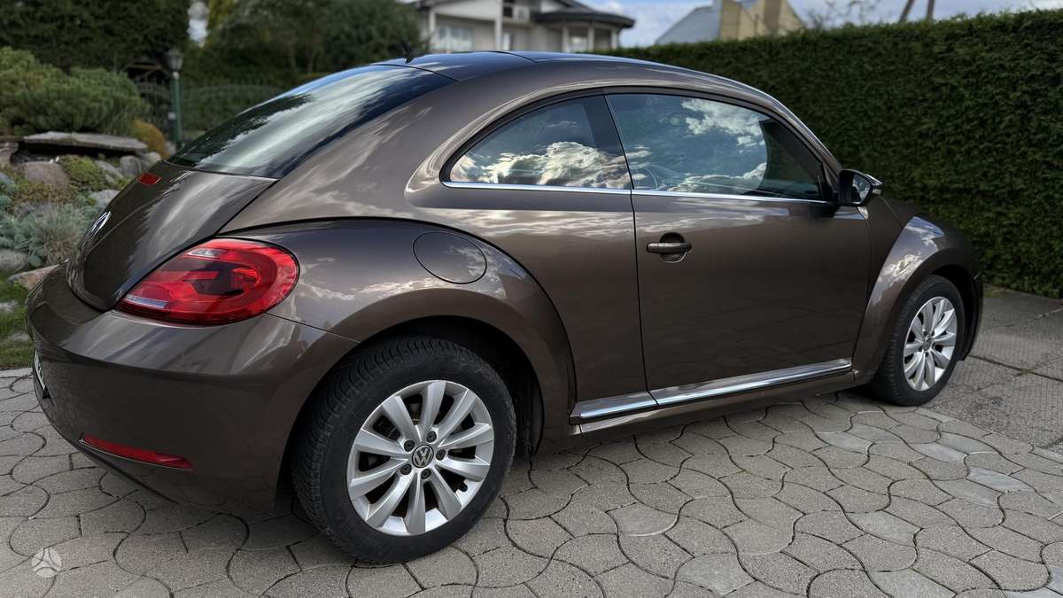 Volkswagen Beetle - 5