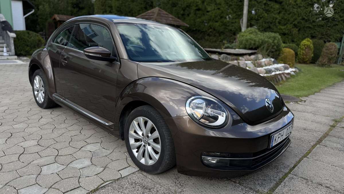 Volkswagen Beetle - 6