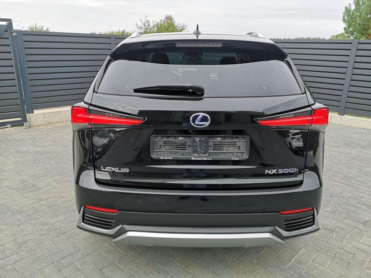 Lexus NX 300h - 8