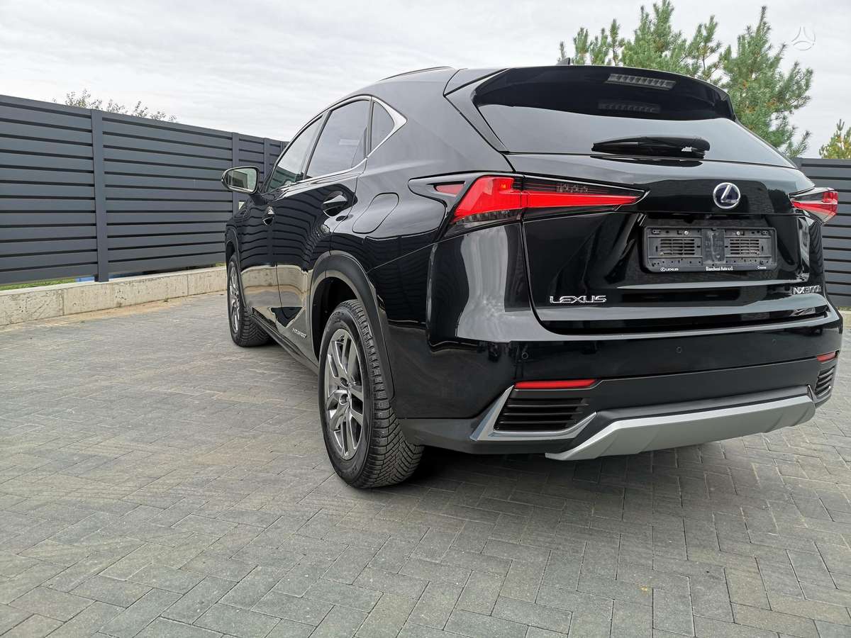 Lexus NX 300h - 12
