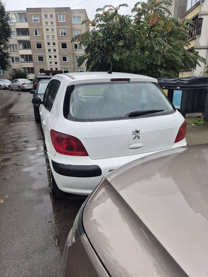 Peugeot 307 - 6