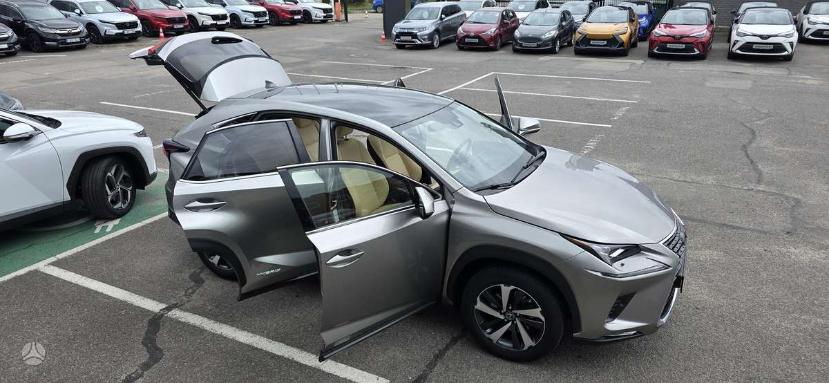 Lexus NX 300h - 7