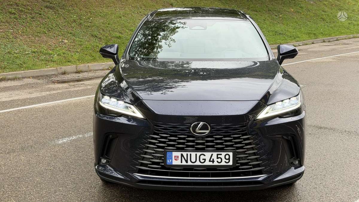 Lexus RX 450h+ - 10