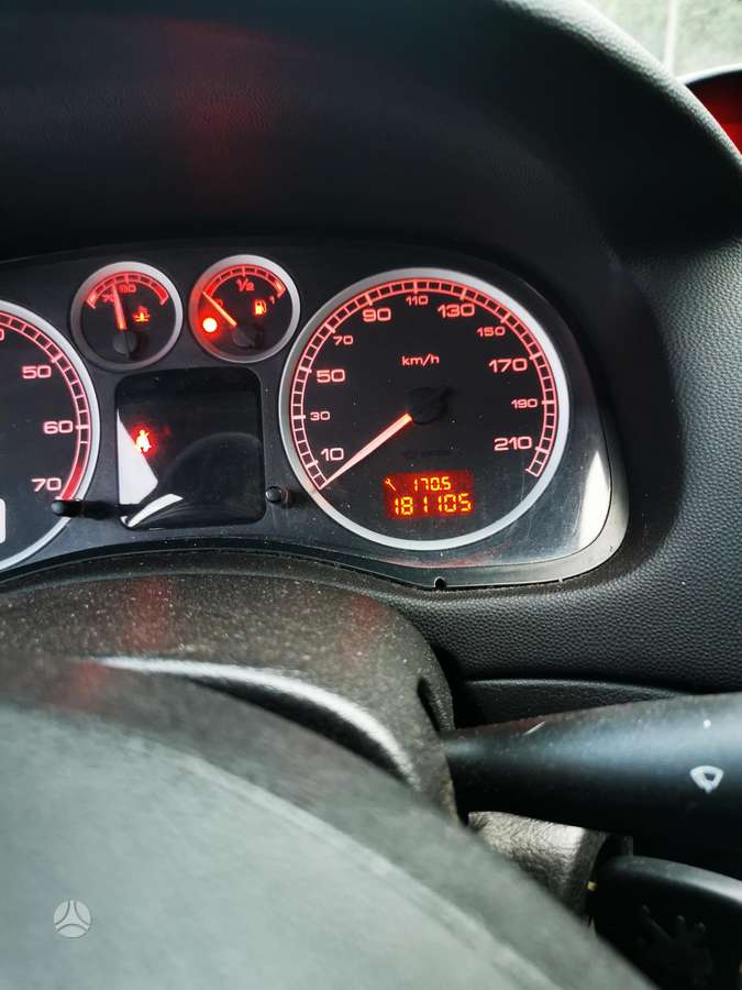 Peugeot 307 - 12