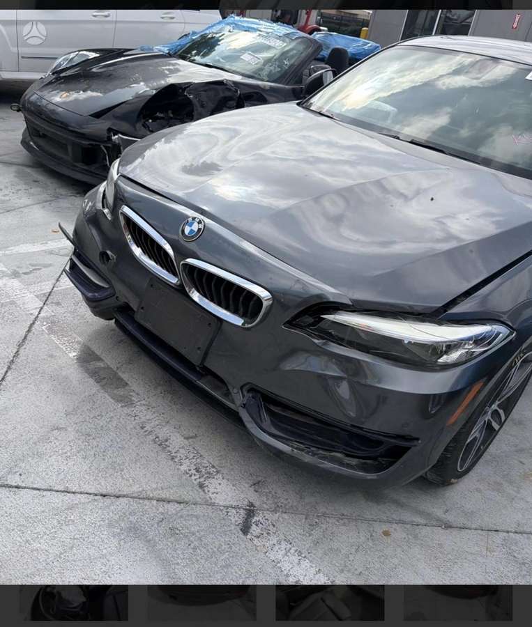 BMW 230, 2.0 l., Купе (coupe)