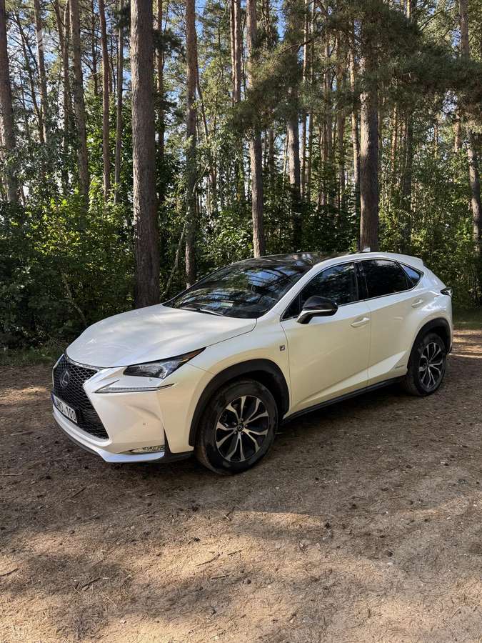 Lexus NX 300h - 1