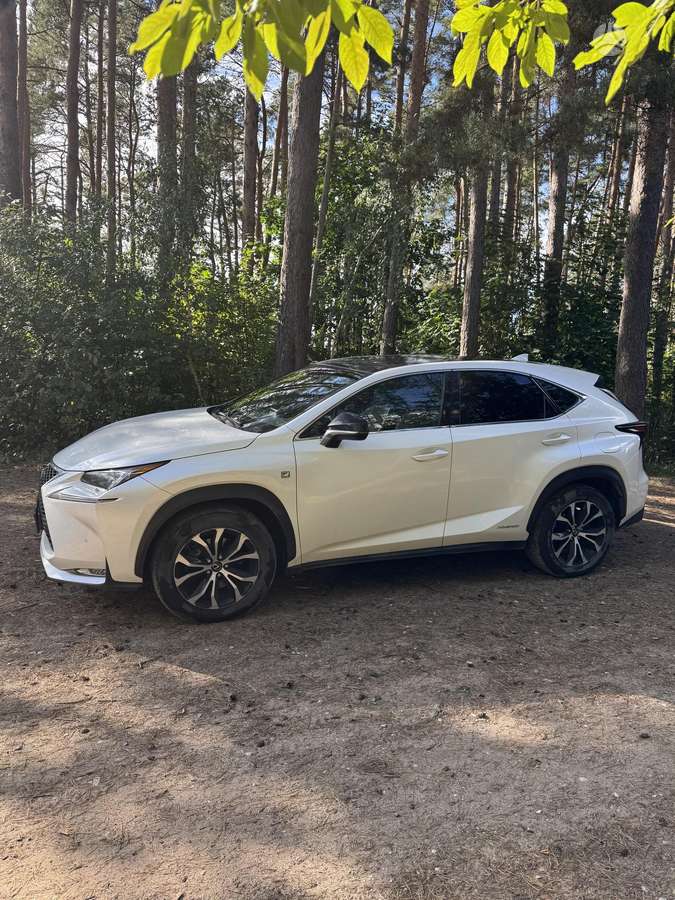 Lexus NX 300h - 3