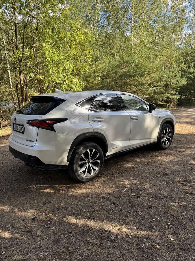 Lexus NX 300h - 6