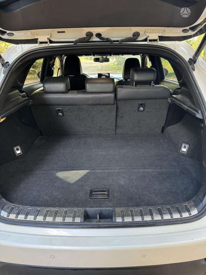 Lexus NX 300h - 10