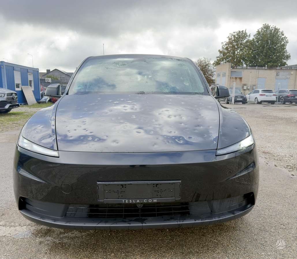 Tesla Model Y, visureigis / krosoveris
