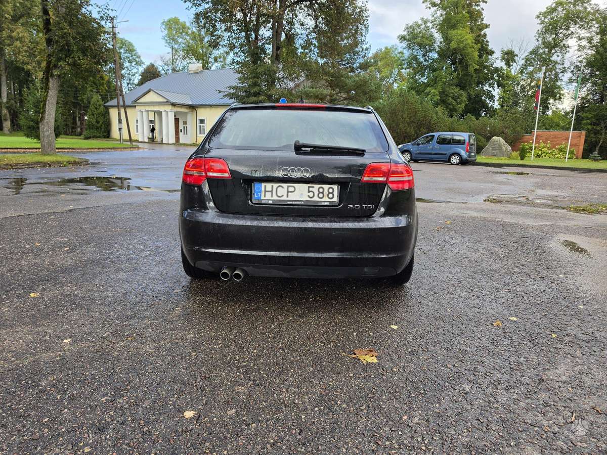 Audi A3, 2.0 l., hečbekas