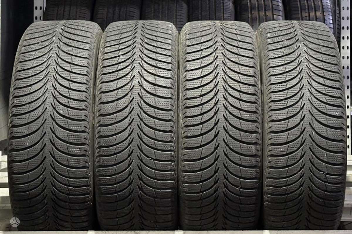 Sava Eskimo Ice, winter 205/55 R16