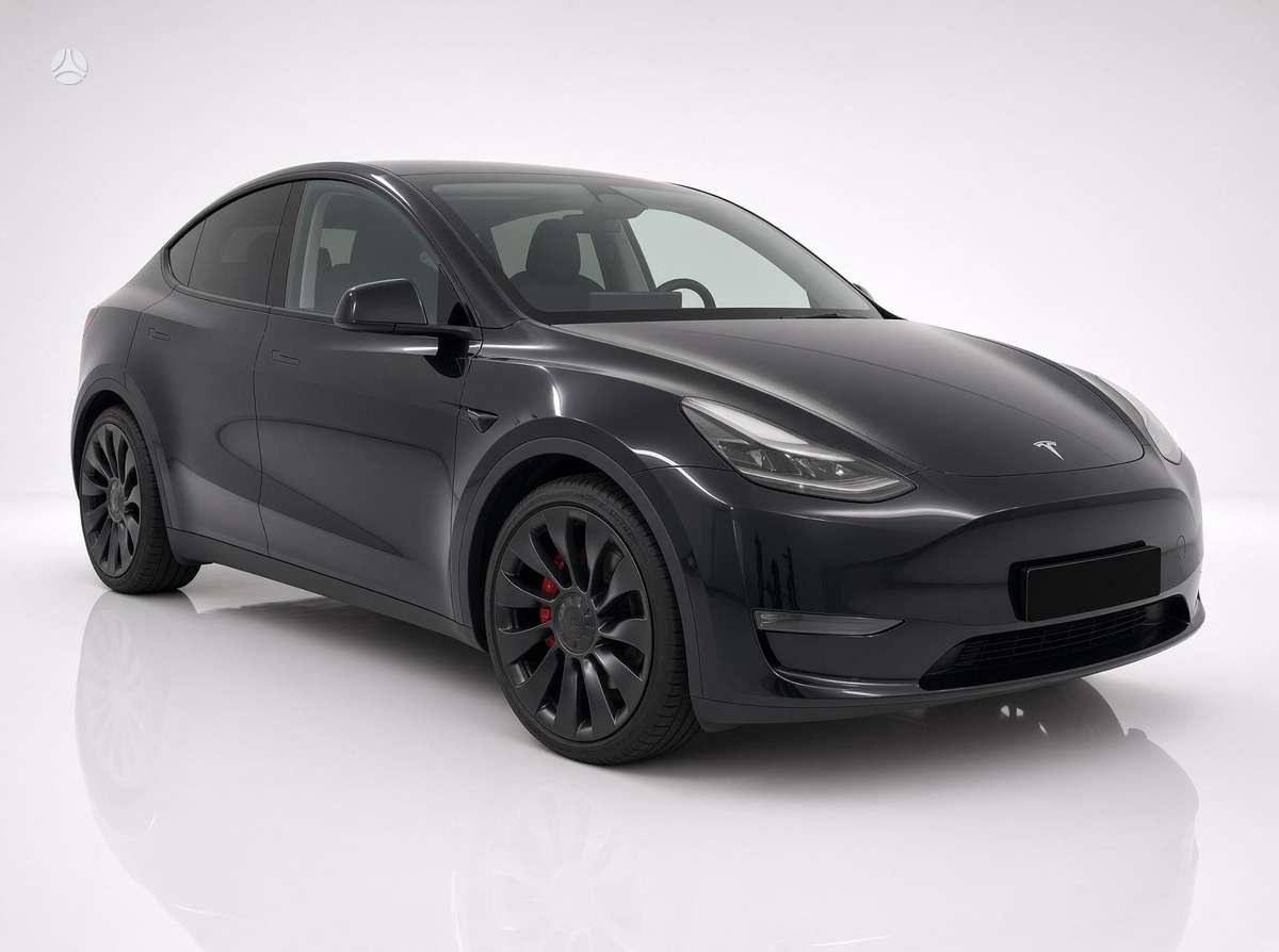 Tesla Model Y, Хэтчбек