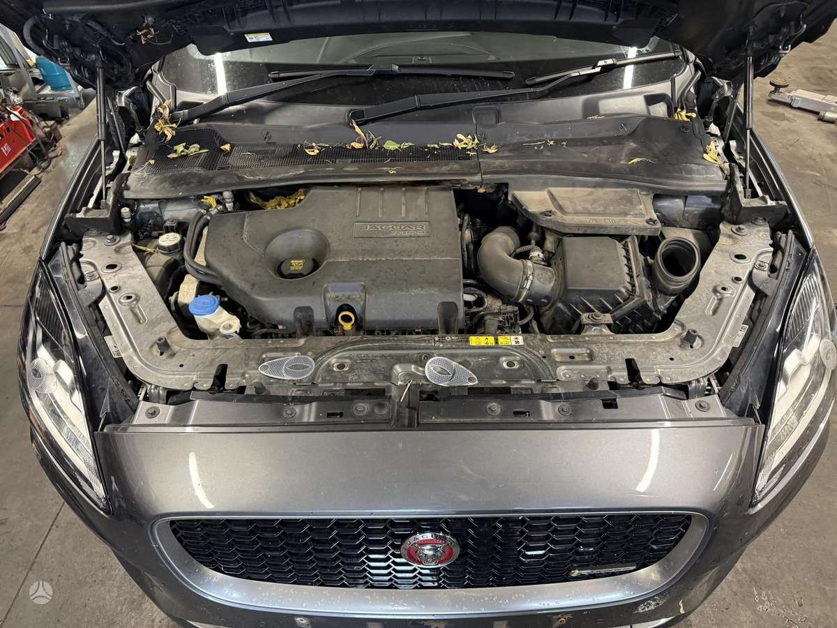 Jaguar E-Pace Visas mūsų dalis galite rasti https rrr lt pumex mūsų adres