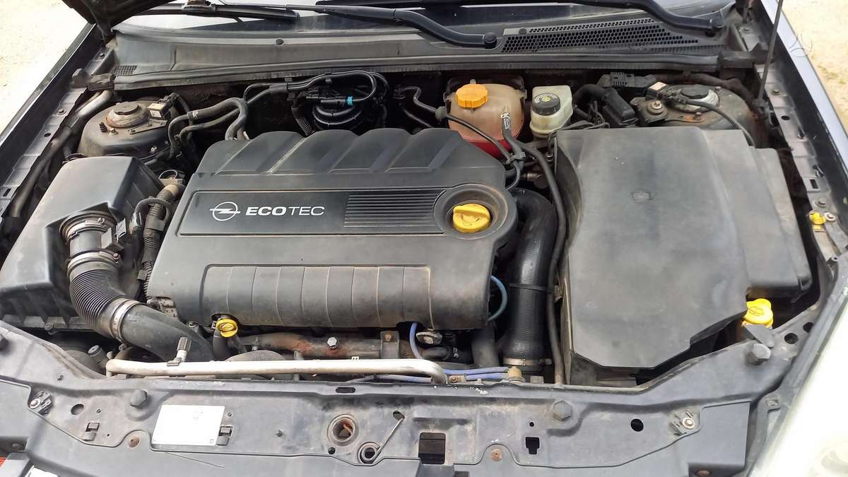 Opel Signum, 1.9 l., hatchback