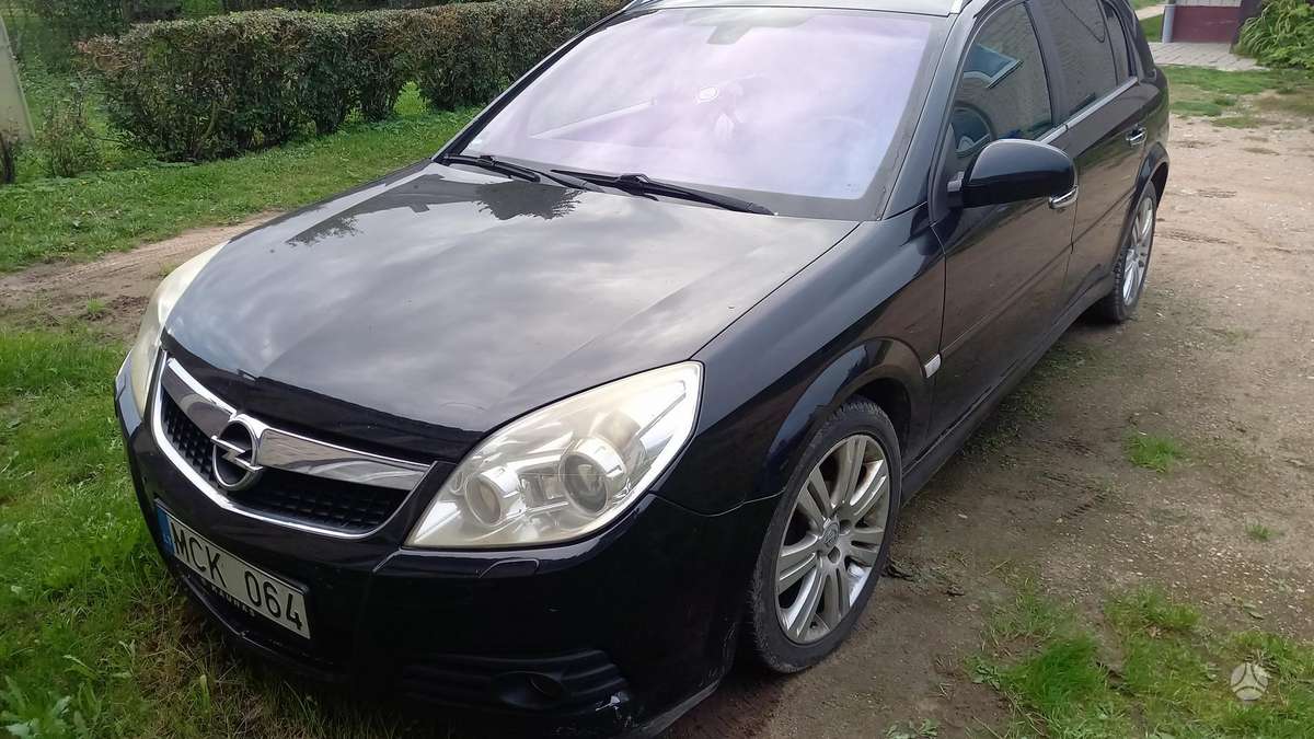 Opel Signum, 1.9 l., hatchback