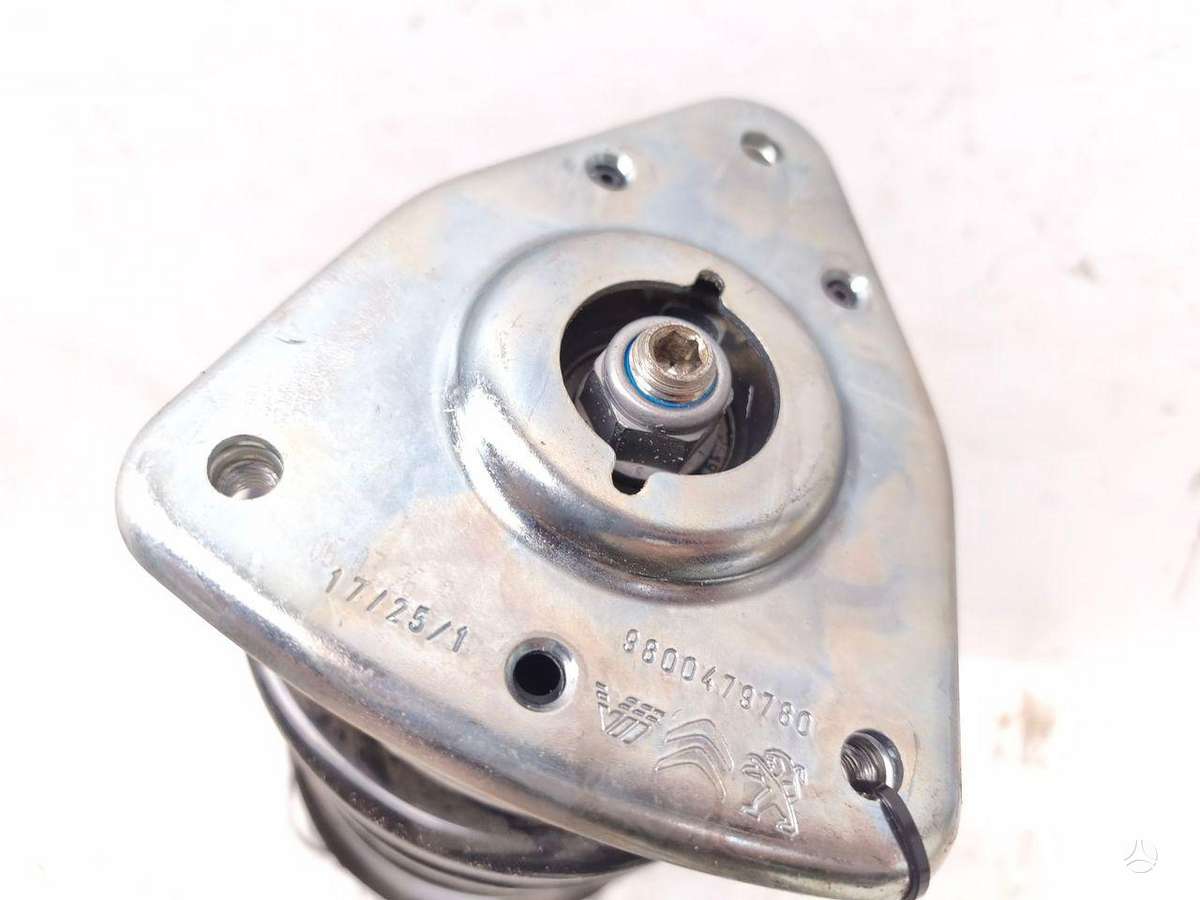 Citroen Berlingo, 9852218480, stebulės
