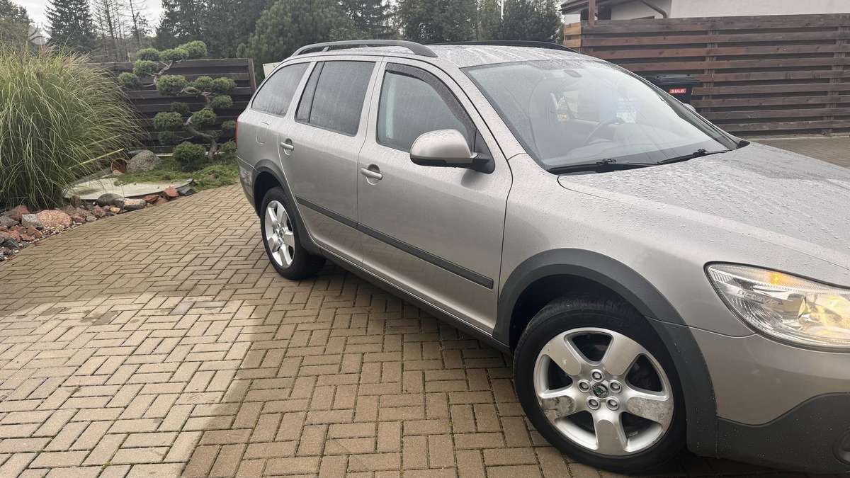 Skoda Octavia 2010 — rear view