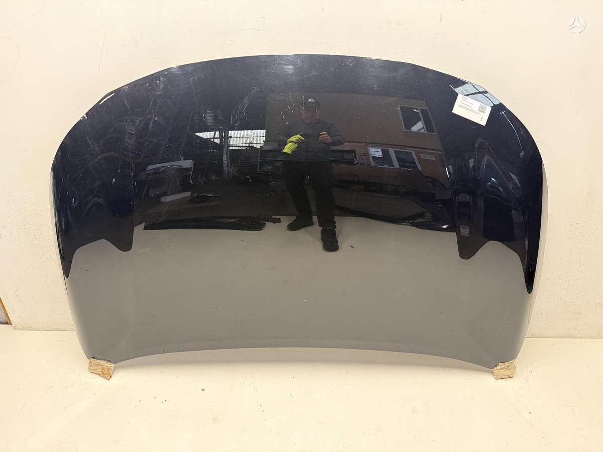 Toyota Corolla hood (front, rear), lights
