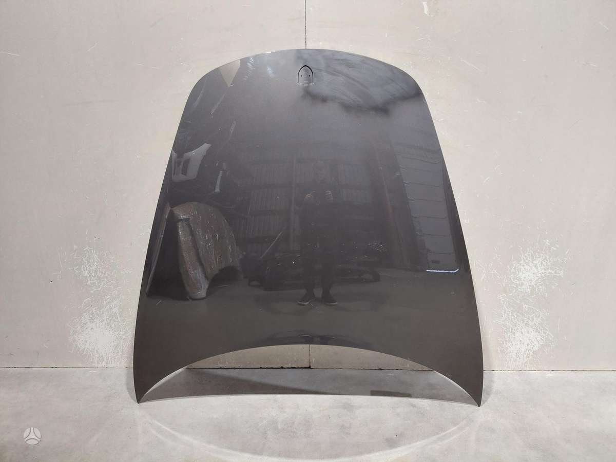 Porsche 911 hood (front, rear)