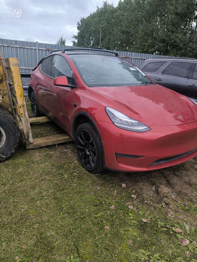 Tesla Model Y Usa