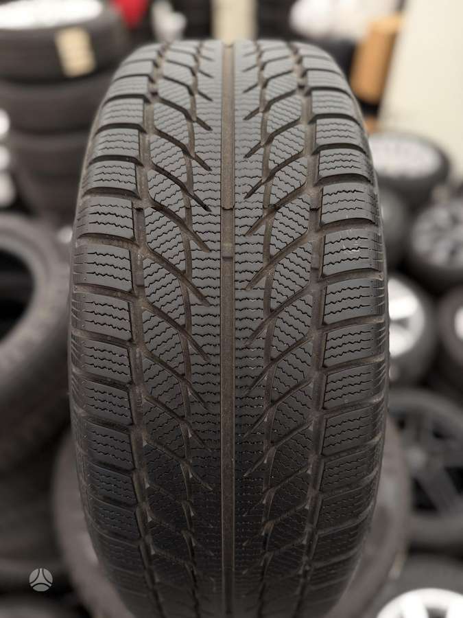 Goodride SW 608, winter 225/55 R17