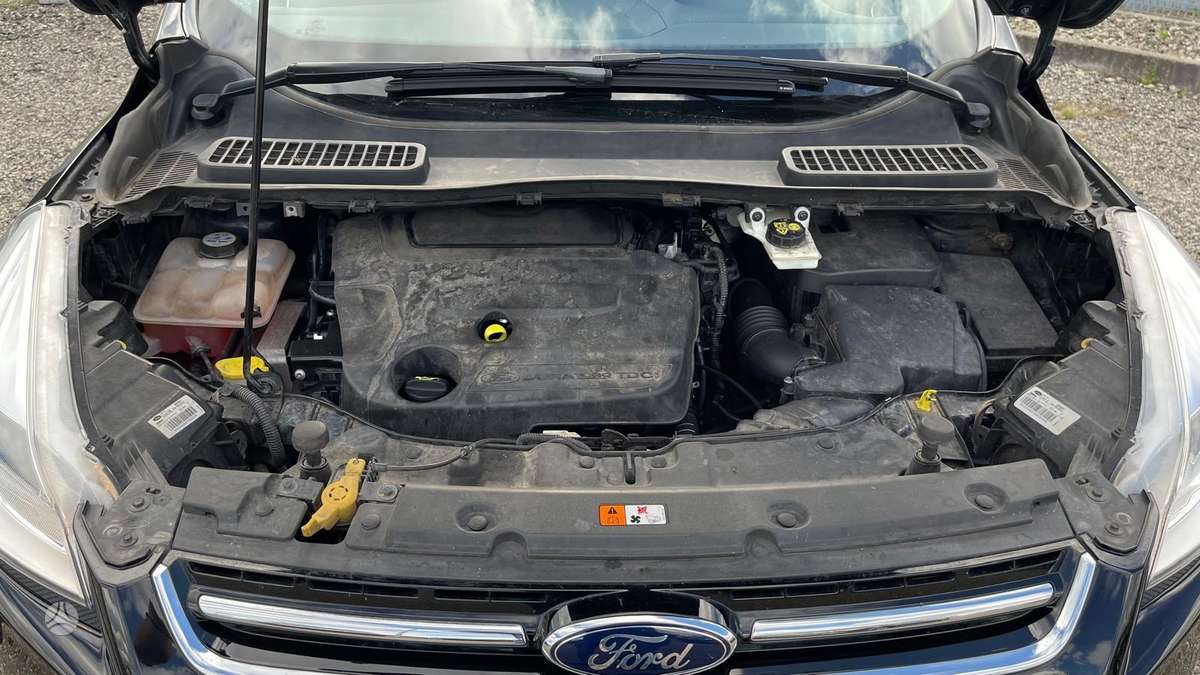 Ford Kuga, 2.0 l., Внедорожник / Кроссовер