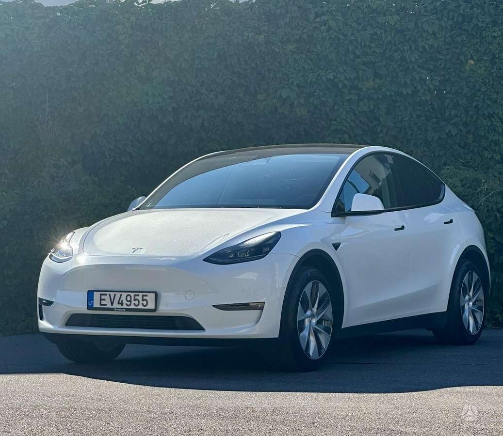 Tesla Model Y, kupė (coupe)