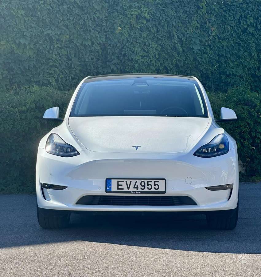 Tesla Model Y, kupė (coupe)