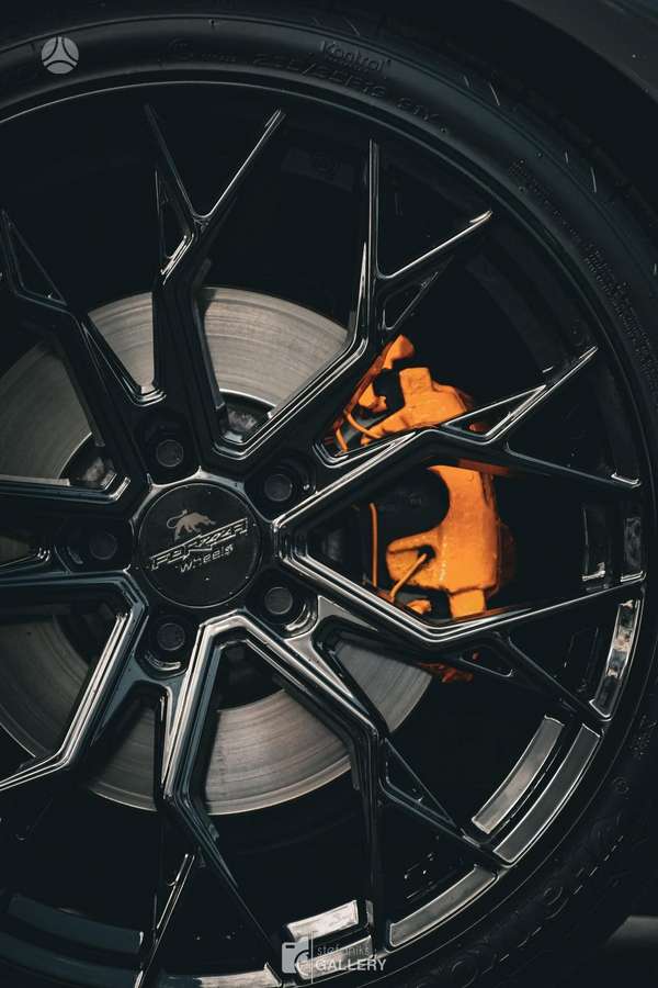 Forzza Titan, lengvojo lydinio, R17