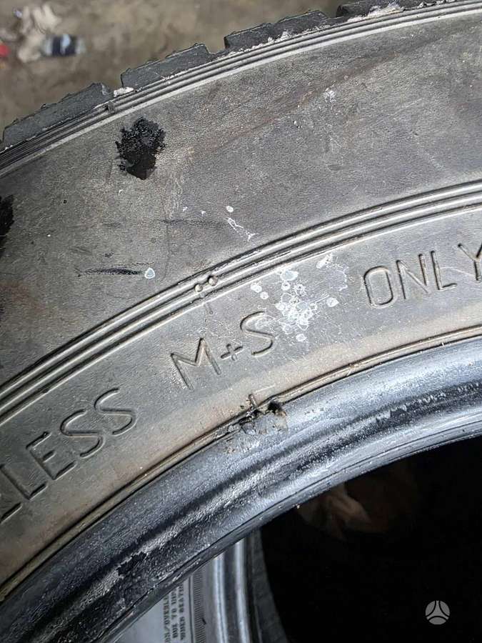 Rosava TRL-501, всесезонные 155/70 R13