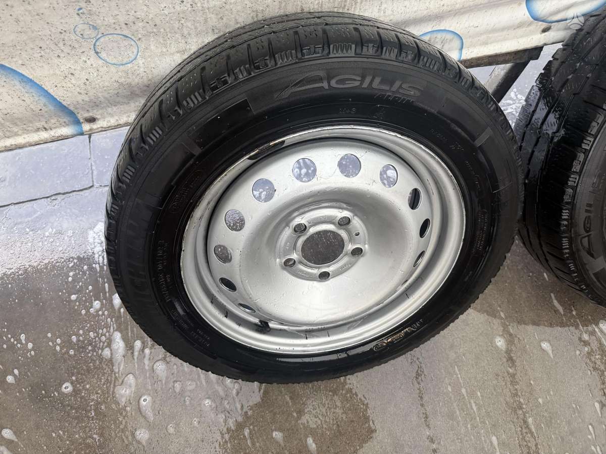 Renault, plieniniai štampuoti, R16