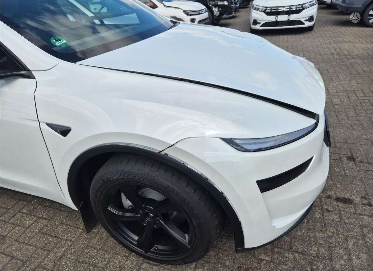 Tesla Model Y, visureigis / krosoveris