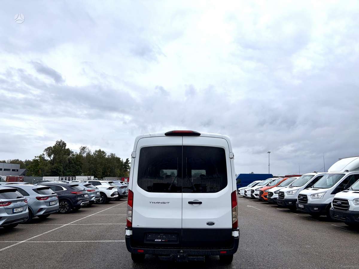 Ford Transit, cargo van