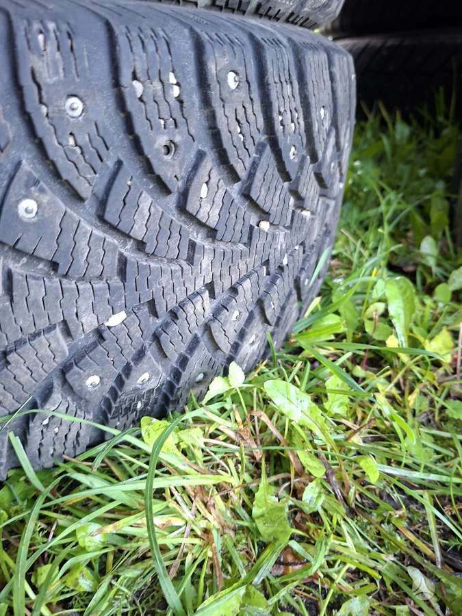 Nordman, winter 205/55 R16
