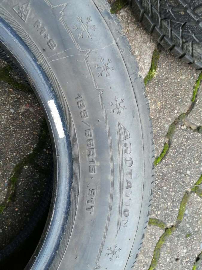 Dunlop, universalios 195/65 R15
