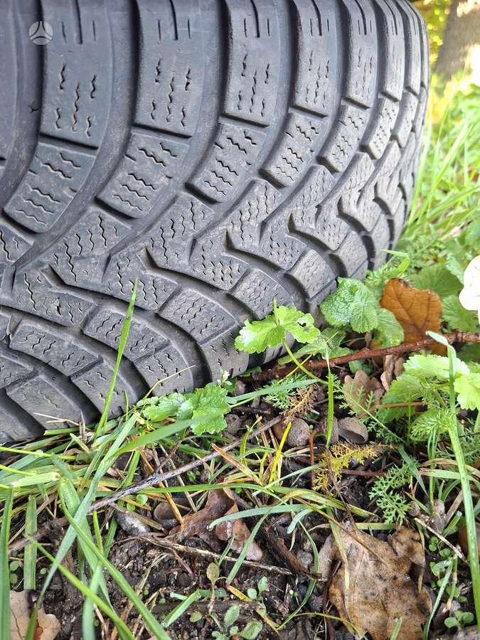 Falken, winter 215/60 R17