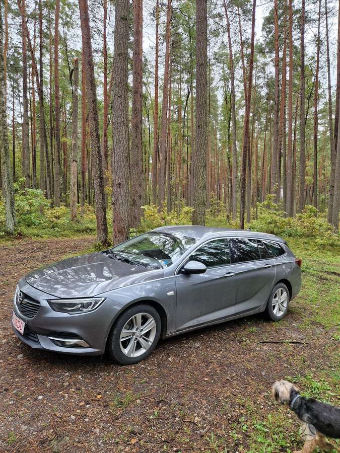 Opel Insignia, 1.6 l., Универсал