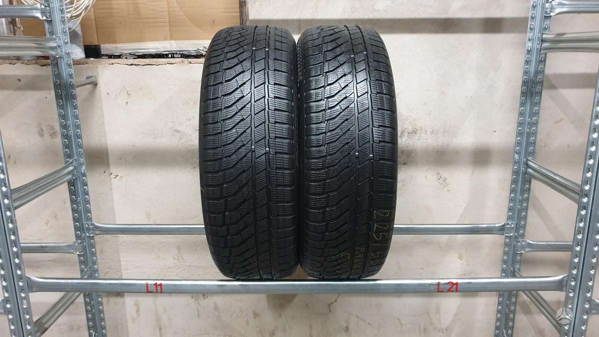Falken EuroWinter HS02 Pro, зимние 225/55 R19
