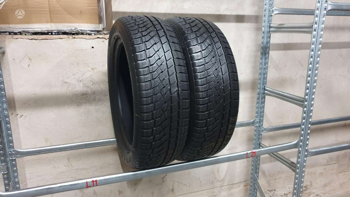 Falken EuroWinter HS02 Pro, зимние 225/55 R19
