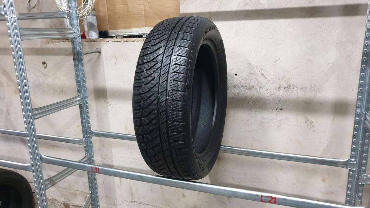 Falken EuroWinter HS02 Pro, winter 225/55 R19