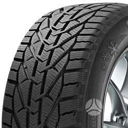 Taurus Winter, winter 225/50 R17