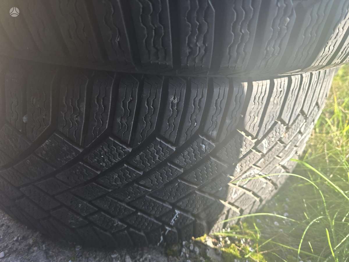 Continental, žieminės 275/40 R21