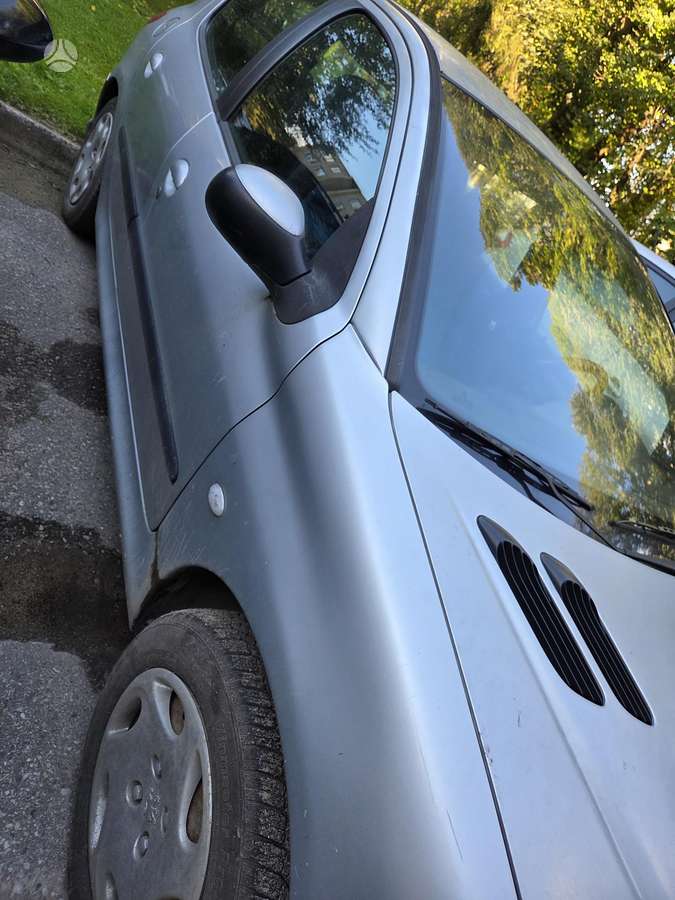 Peugeot 206, 1.4 l., hatchback
